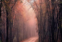 五行水晶神奇力量：平衡五行，提升人生价值