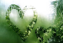 上海桑拿养生秘籍，工作室解锁健康生活新姿势