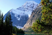 美食养生双管齐下：海龙凤对对碰