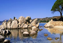 养生良方石斛田七花旗参汤，护眼缓解疲劳新选择